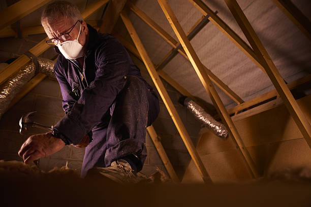 Best Specialized Insulation Services in Elk Point, SD
